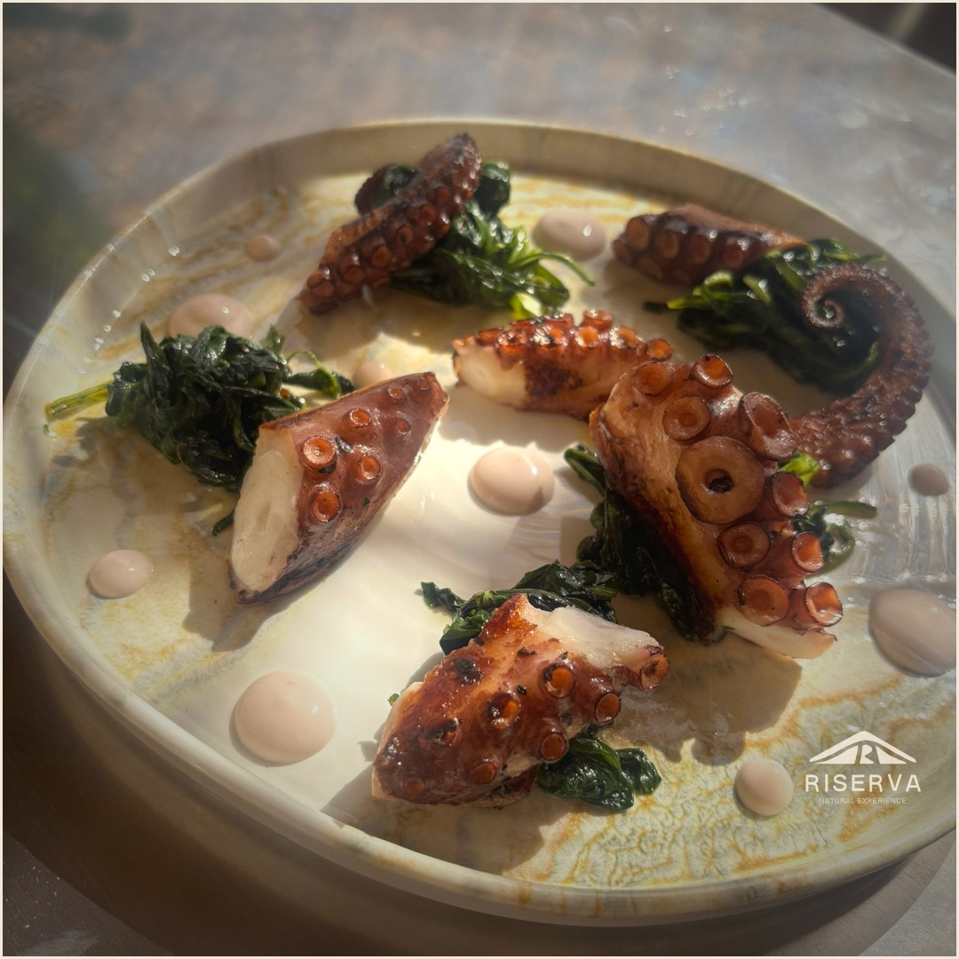 Polpo arrostito impiattato — Riserva Natural Experience